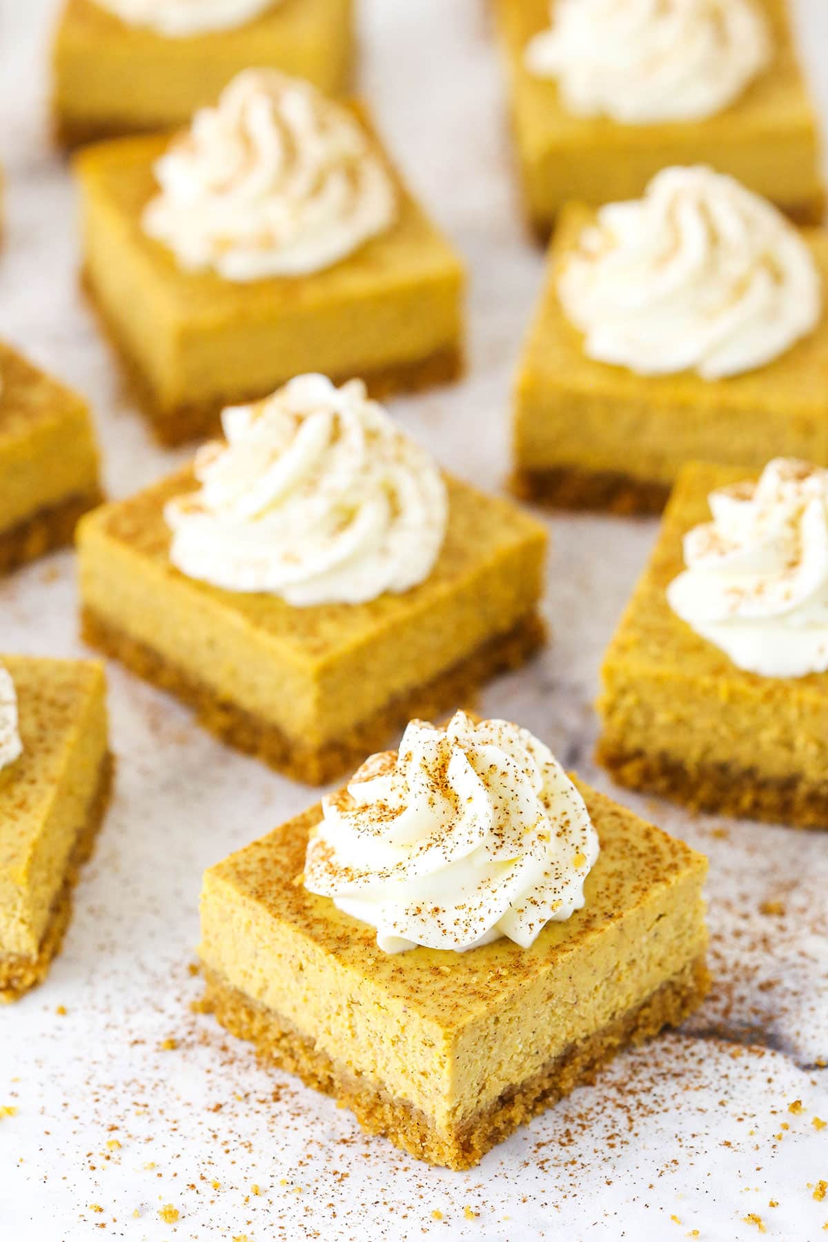 Pumpkin Cheesecake Bars topped with frosting swirls on a white table