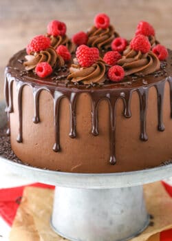 image of Raspberry Chocolate Layer Cake on cake stand